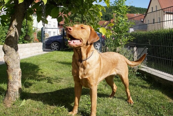 Unsere Xana Kira