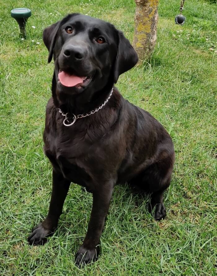 Unsere Megan